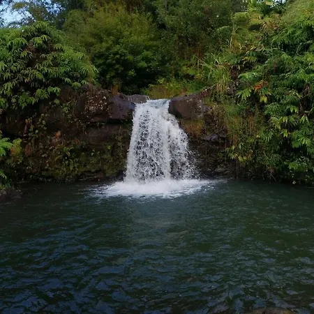 Kikala Waterfall Lodge Hilo Zimmer foto