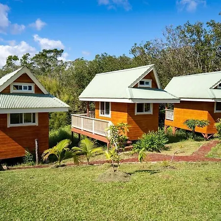 Kikala Waterfall Lodge Hilo Zimmer foto