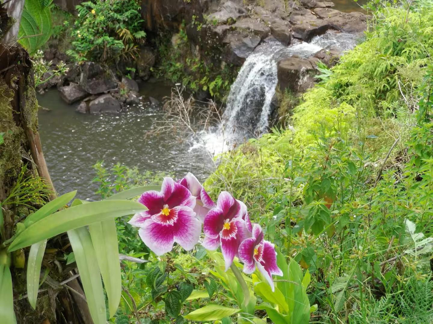 Lodge Kikala Waterfall