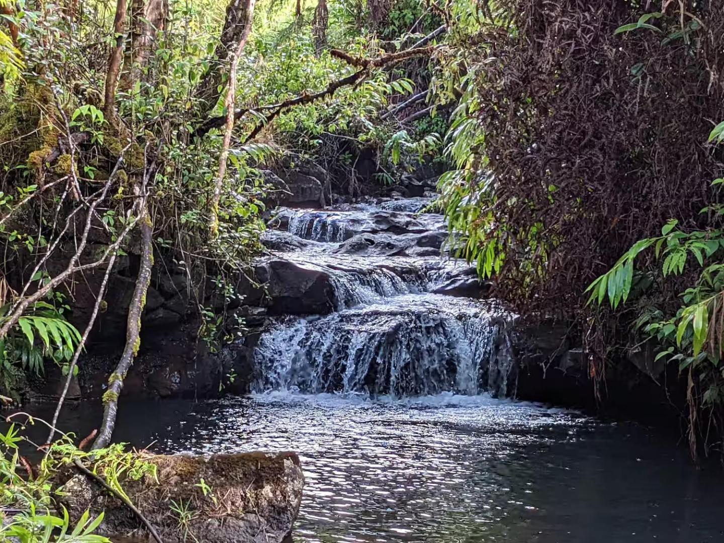Kikala Waterfall Lodge Hilo