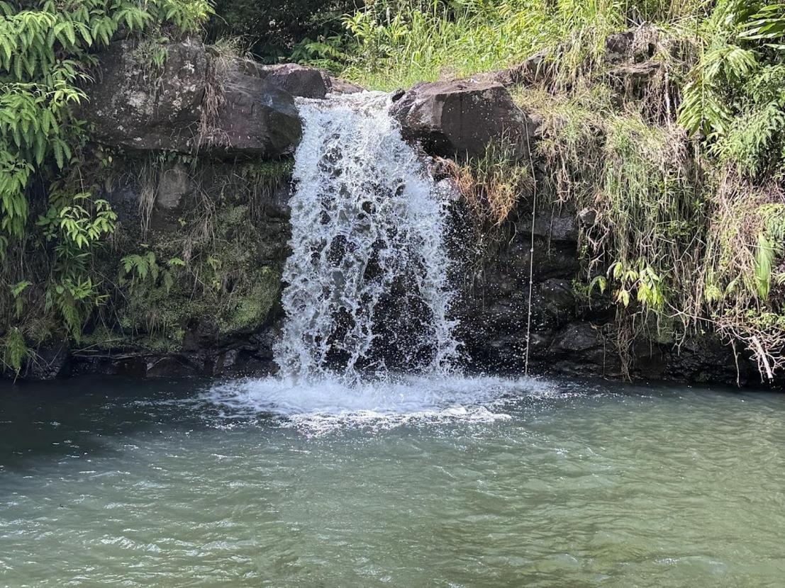 Kikala Waterfall * Hilo