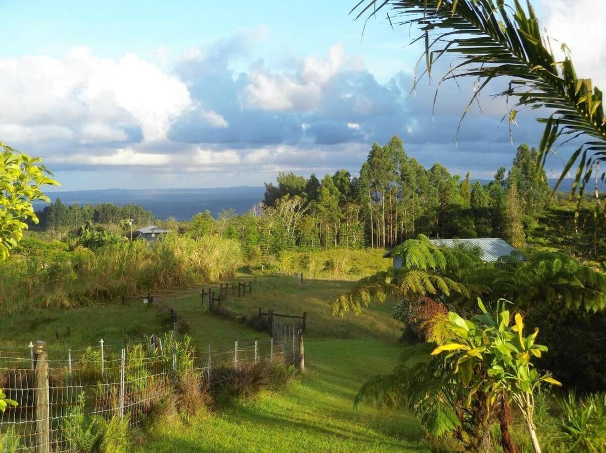 Kikala Waterfall Hilo